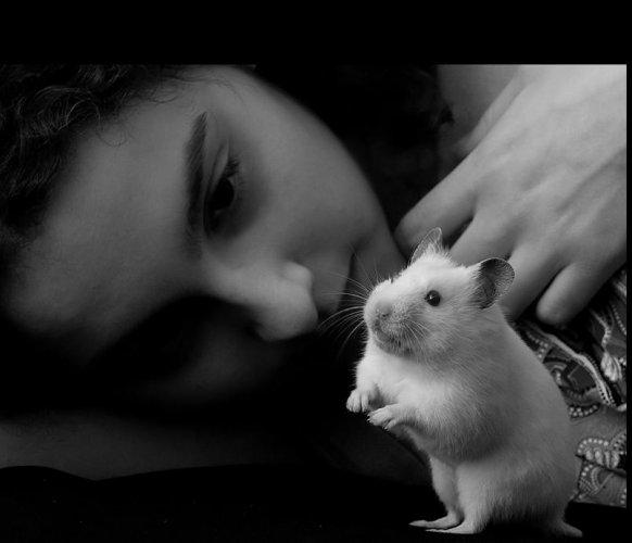 Dünyanın en güzel 506 fotoğrafı