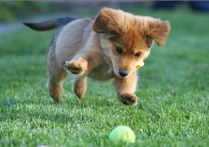 Dünyanın en güzel 506 fotoğrafı