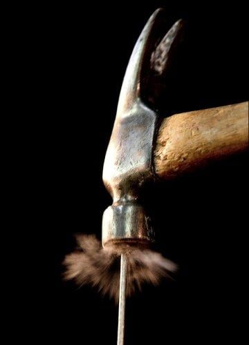 Dünyanın en güzel 506 fotoğrafı