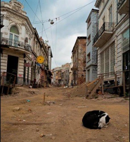 Dünyanın en güzel 506 fotoğrafı