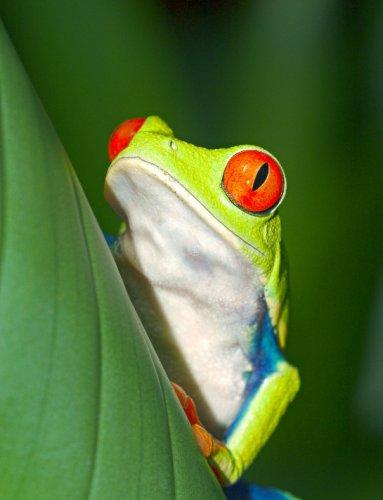 Dünyanın en güzel 506 fotoğrafı