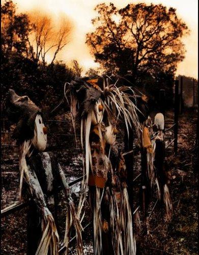 Dünyanın en güzel 506 fotoğrafı