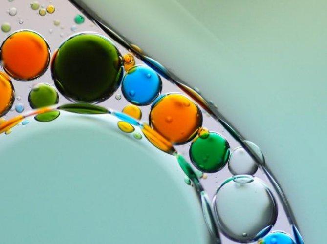 Dünyanın en güzel 506 fotoğrafı