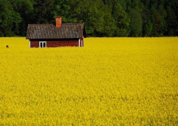 Dünyanın en güzel 506 fotoğrafı