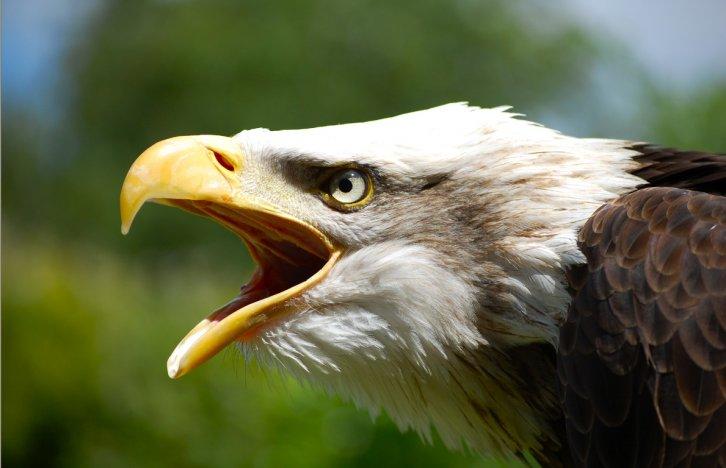 Dünyanın en güzel 506 fotoğrafı