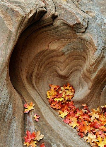 Dünyanın en güzel 506 fotoğrafı