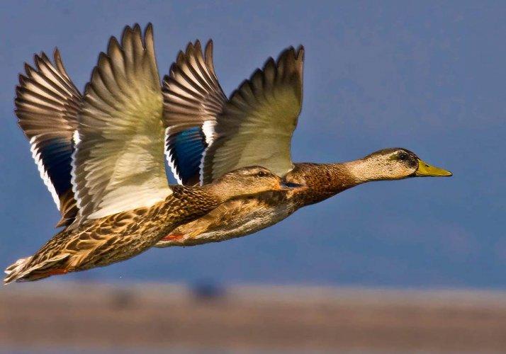 Dünyanın en güzel 506 fotoğrafı