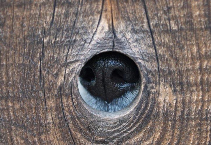 Dünyanın en güzel 506 fotoğrafı