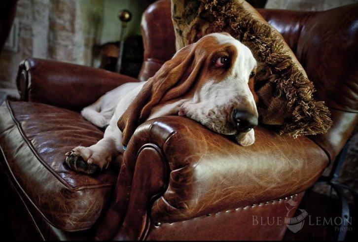 Dünyanın en güzel 506 fotoğrafı