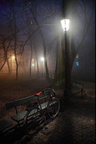 Dünyanın en güzel 506 fotoğrafı