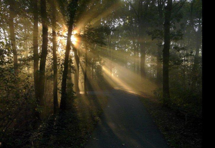 Dünyanın en güzel 506 fotoğrafı