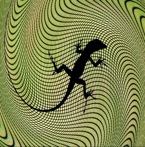 Dünyanın en güzel 506 fotoğrafı