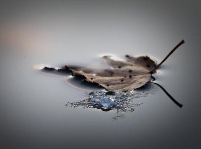 Dünyanın en güzel 506 fotoğrafı