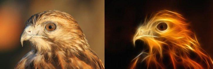 Dünyanın en güzel 506 fotoğrafı