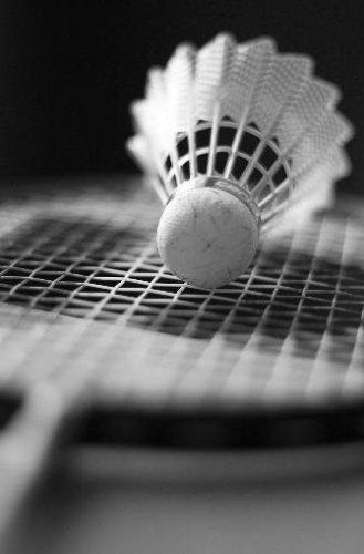 Dünyanın en güzel 506 fotoğrafı