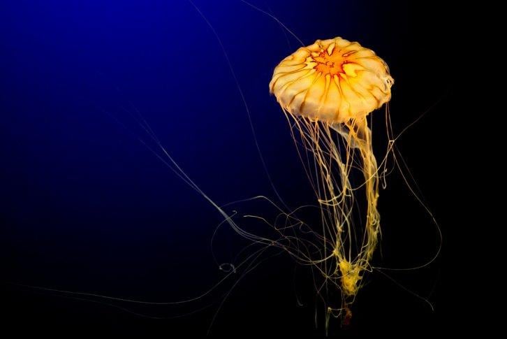 Dünyanın en güzel 506 fotoğrafı