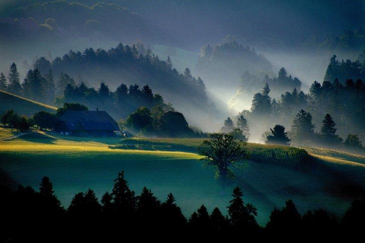 Dünyanın en güzel 506 fotoğrafı