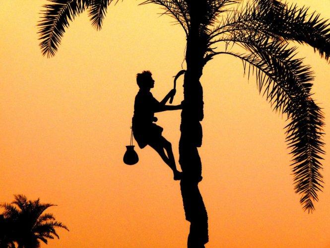 Dünyanın en güzel 506 fotoğrafı