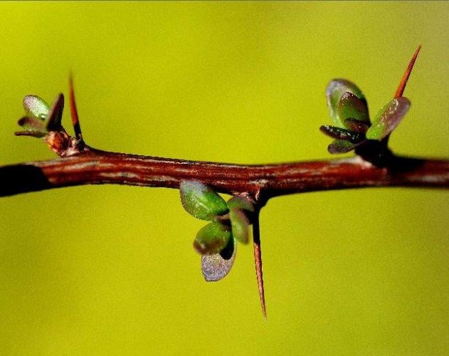 Dünyanın en güzel 506 fotoğrafı