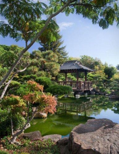 Dünyanın en güzel 506 fotoğrafı