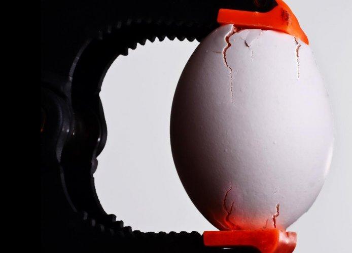 Dünyanın en güzel 506 fotoğrafı