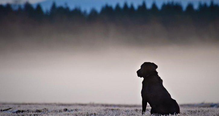 Dünyanın en güzel 506 fotoğrafı