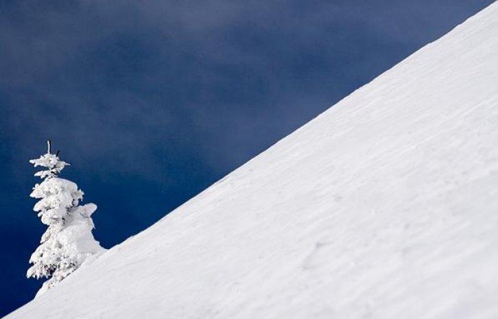 Dünyanın en güzel 506 fotoğrafı