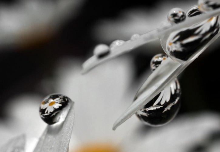 Dünyanın en güzel 506 fotoğrafı