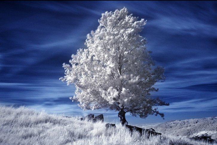 Dünyanın en güzel 506 fotoğrafı