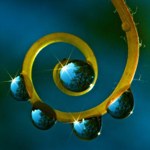 Dünyanın en güzel 506 fotoğrafı