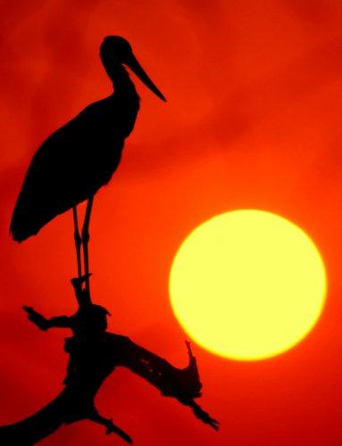 Dünyanın en güzel 506 fotoğrafı