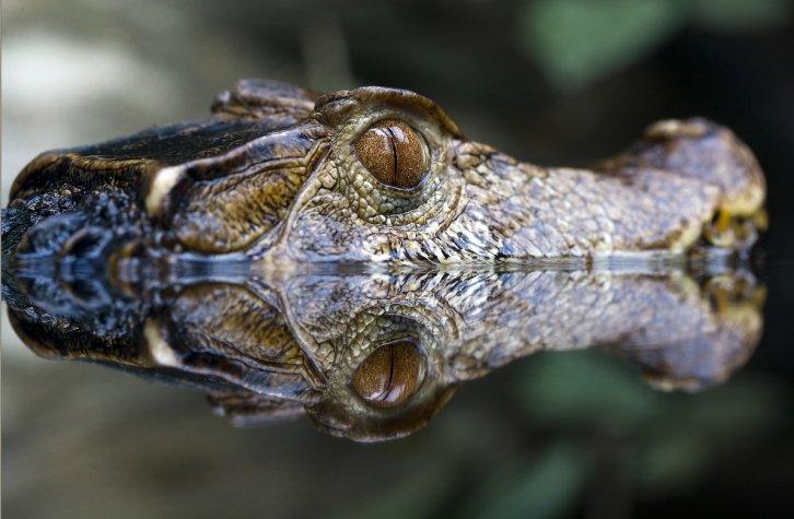 Dünyanın en güzel 506 fotoğrafı