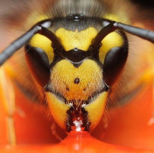 Dünyanın en güzel 506 fotoğrafı