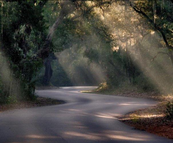 Dünyanın en güzel 506 fotoğrafı