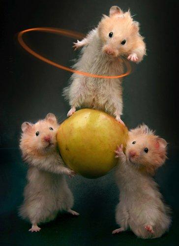 Dünyanın en güzel 506 fotoğrafı