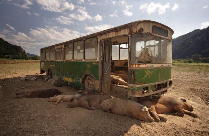 Dünyanın en güzel 506 fotoğrafı