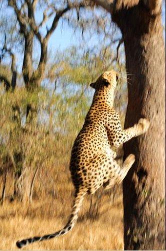 Dünyanın en güzel 506 fotoğrafı