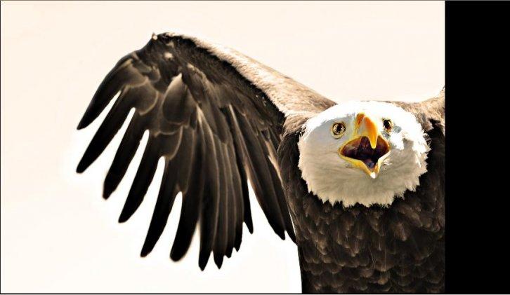 Dünyanın en güzel 506 fotoğrafı