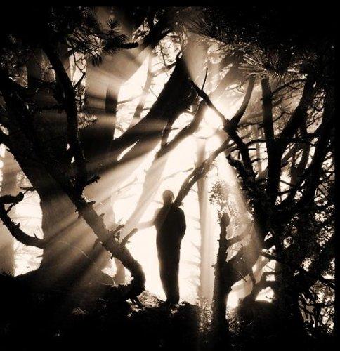 Dünyanın en güzel 506 fotoğrafı