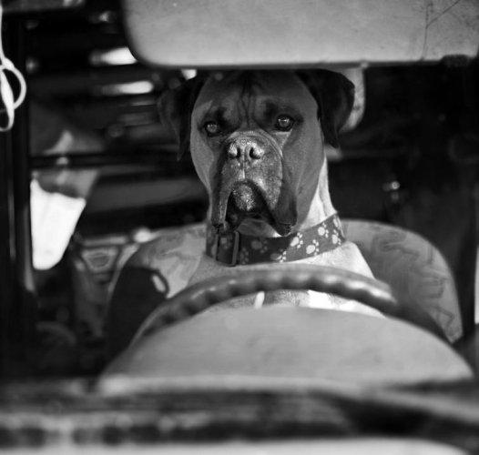 Dünyanın en güzel 506 fotoğrafı