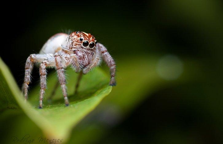 Dünyanın en güzel 506 fotoğrafı