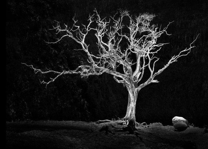 Dünyanın en güzel 506 fotoğrafı