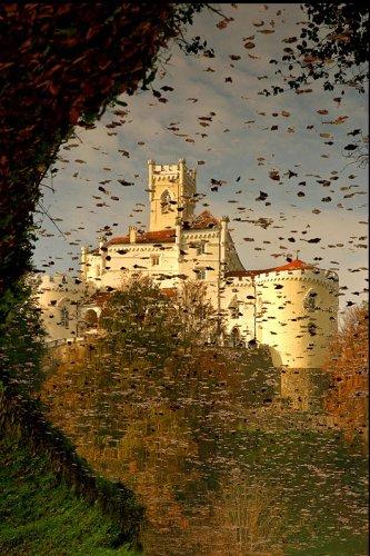 Dünyanın en güzel 506 fotoğrafı