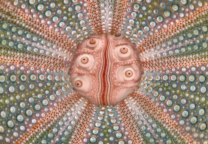 Dünyanın en güzel 506 fotoğrafı