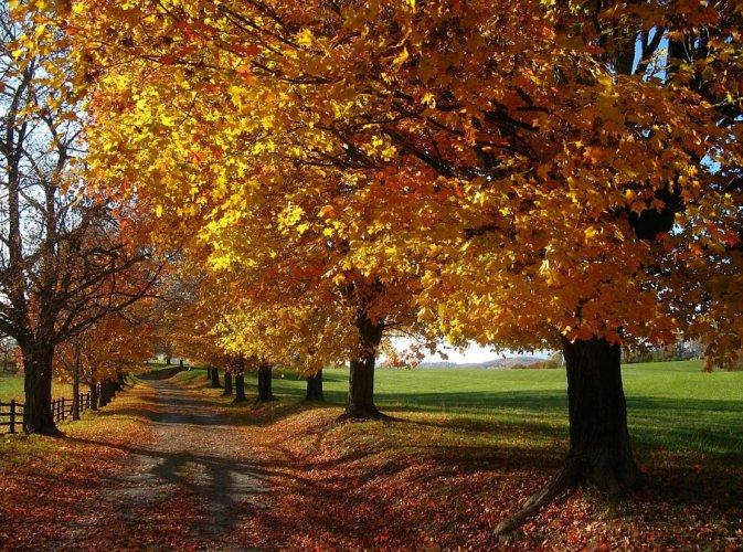 Dünyanın en güzel 506 fotoğrafı