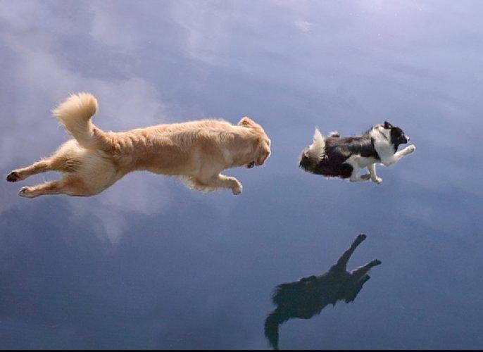 Dünyanın en güzel 506 fotoğrafı