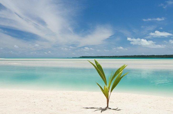 Dünyanın en güzel 506 fotoğrafı