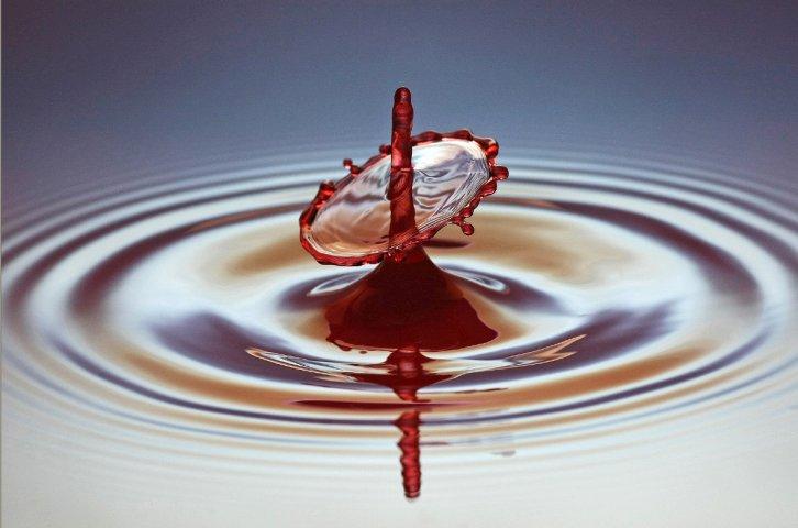 Dünyanın en güzel 506 fotoğrafı