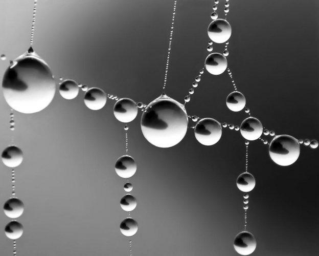 Dünyanın en güzel 506 fotoğrafı