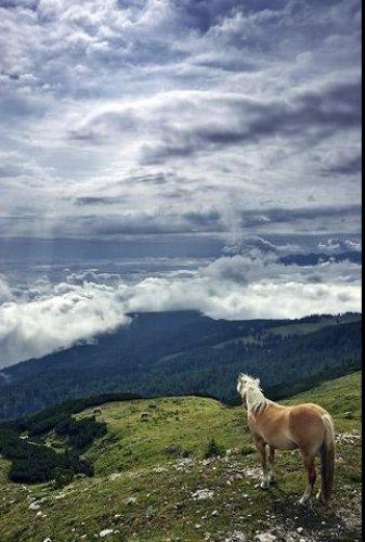 Dünyanın en güzel 506 fotoğrafı